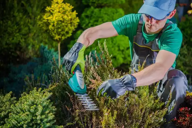 landscaping services Town Line